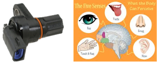 sensor